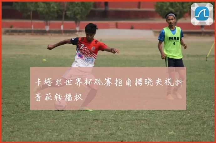 卡塔尔世界杯观赛指南揭晓央视抖音获转播权