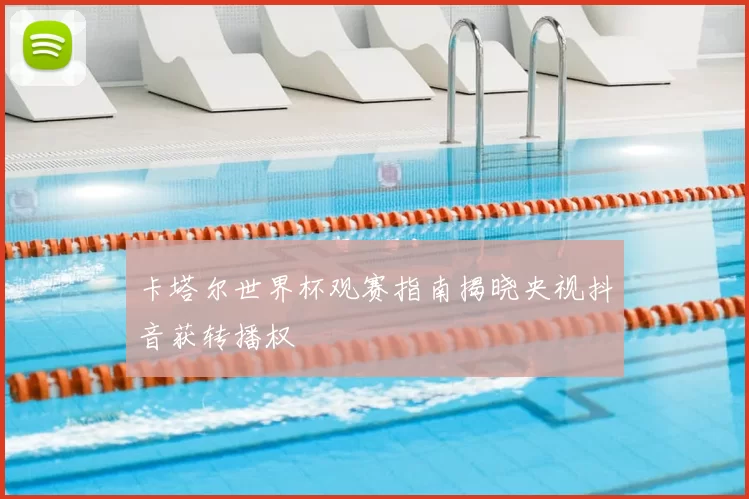 卡塔尔世界杯观赛指南揭晓央视抖音获转播权