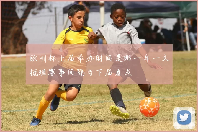 欧洲杯上届举办时间是哪一年一文梳理赛事间隔与下届看点
