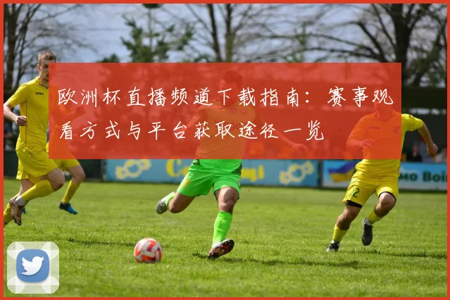 欧洲杯直播频道下载指南：赛事观看方式与平台获取途径一览